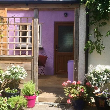 Cute Self-Contained Guest Room With Ensuite And Private Decked Porch In Glastonbury Exterior foto